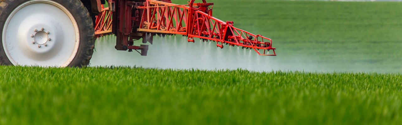 A cropped image of a red tractor spraying a field of green crops.