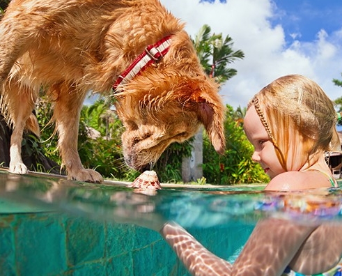 young-girl-swimming-in-residential-outdoor-pool-with-dog-horizontal-606x410-image-file
