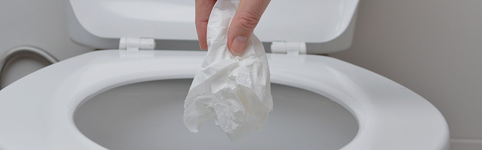 Dropping tissue in toilet 1440x450; Adobe Stock: 230006549